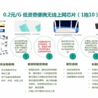 0.2元/G 低资费便携无线上网芯片（1拖10）